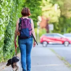 Il Valore Inestimabile della Compagnia Animale nella Vita Moderna
