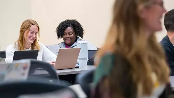 Mental Health Counseling Courses: An Overview