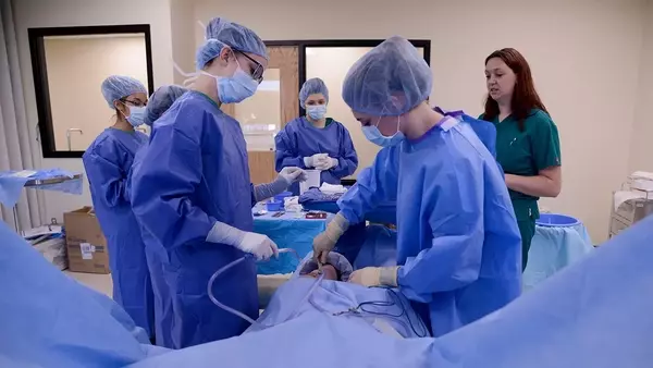 Scrub Tech Certification: An Overview