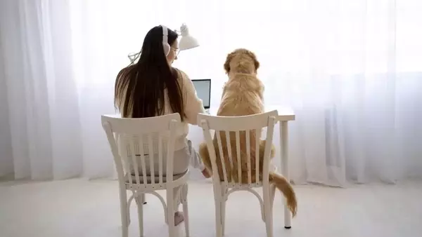 Rientro dalle Vacanze: Gestire lo Stress dei Pet con Serenità