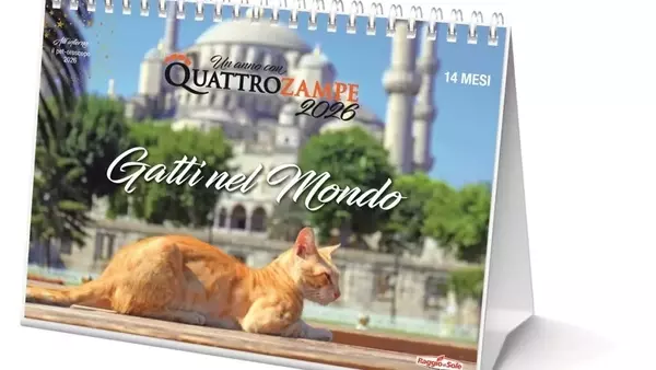 I Nuovi Calendari 2026 di Quattrozampe: Un Anno con Cani e Gatti