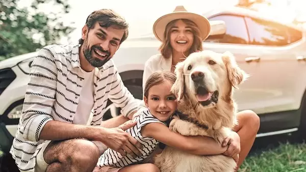 Viaggiare in Sicurezza con i Propri Animali Domestici: Guida Completa