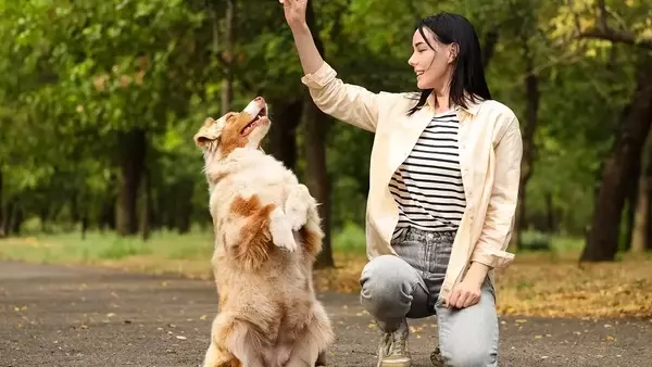 La scienza rivela i profondi vantaggi della convivenza con un cane