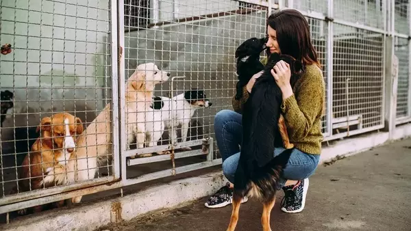 Un'Iniziativa Semplice e Rivoluzionaria: Come Una Pizza Aiuta i Cani a Trovare Casa