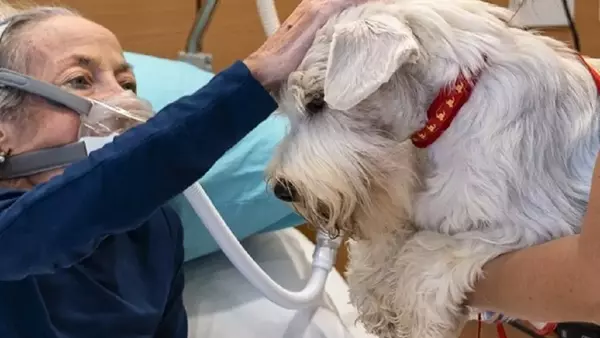 La Storia Incantevole di Nina: Amore e Perdita Attraverso gli Occhi di un Cane nell'Hospice
