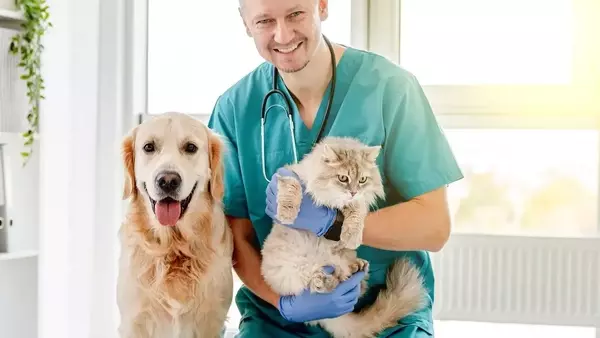 Servizio Veterinario Pubblico: Verso Cure Gratuite per gli Animali Domestici?