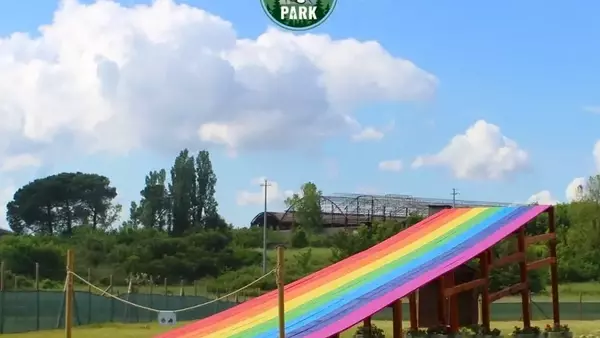 Il Ponte dell'Arcobaleno: Un Santuario in Italia per i Compagni Animali Perduti