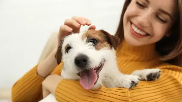 Vivere Sostenibile con i Compagni Animali: Armonia tra Benessere e Ambiente