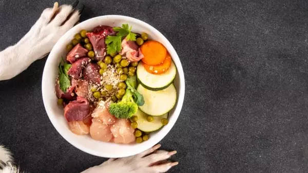 Alimentazione Canina Ottimale: Guida Completa per la Salute del Tuo Amico a Quattro Zampe