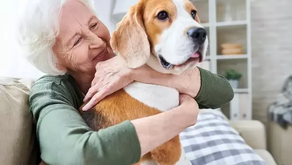 Mantenere Attivo il Cervello di Cani e Gatti in Età Avanzata: Un Obiettivo Raggiungibile