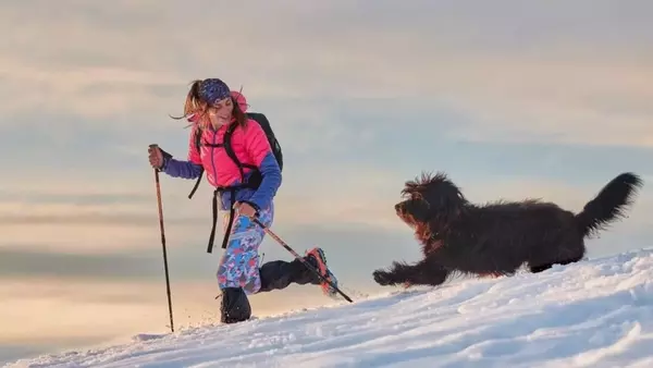 Trekking Invernale con il Cane: Guida Sicura