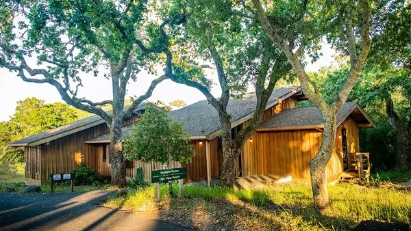 The Hoffman Process: A Deep Dive into the Intensive Self-Discovery Retreat Popular Among Tech Leaders