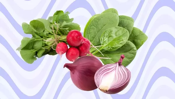 Maximizing Nutrition: The Benefits of Raw Foods