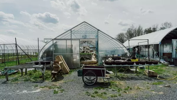 Korean Culinary Masters Establish "First Hand Farm" in Hudson Valley to Cultivate Traditional Ingredients