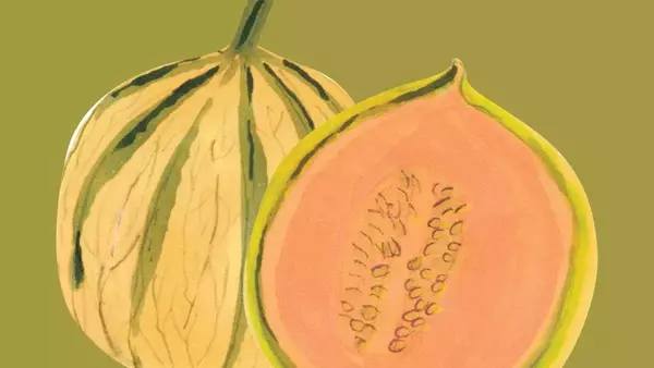 Discovering the Diverse World of Summer Melons