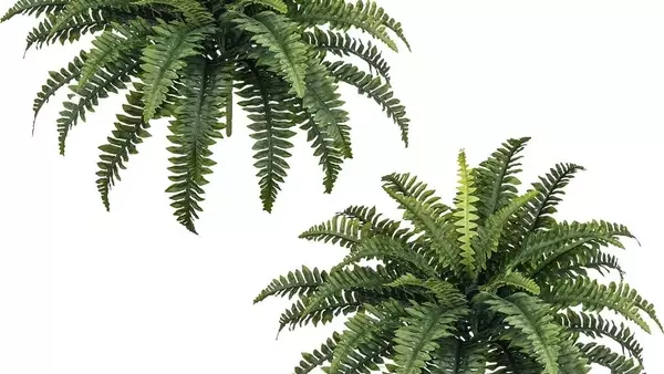 Top Picks: The Most Realistic Artificial Plants on Amazon