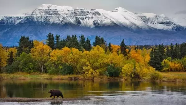 First National Bank Alaska: A Prudent Hold Amidst Emerging Risks