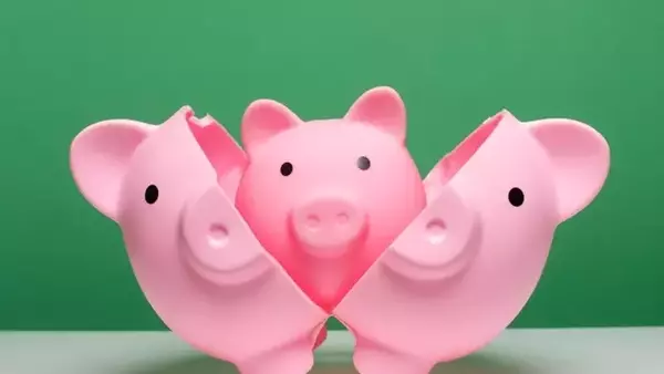 Nuveen Variable Rate Preferred & Income Fund: Navigating Rate Hikes and Dividend Sustainability
