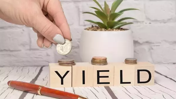 Beyond the Hype: Discovering Value in Overlooked Dividend Stocks