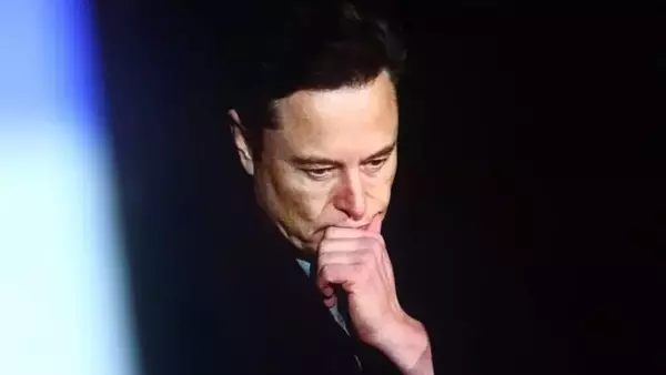 Musk's Subsidy Debate: A Democratic Perspective