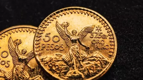 Torex Gold: A Journey from Capital-Intensive to Cash-Rich