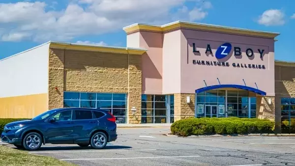 La-Z-Boy: A Robust Enterprise Amidst Industry Challenges