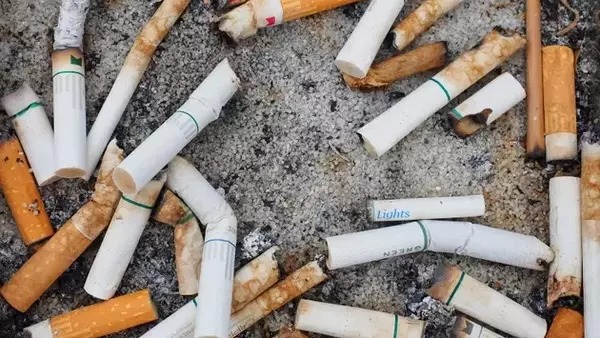 Altria's Shifting Sands: A Deep Dive into Declining Cigarette Dominance