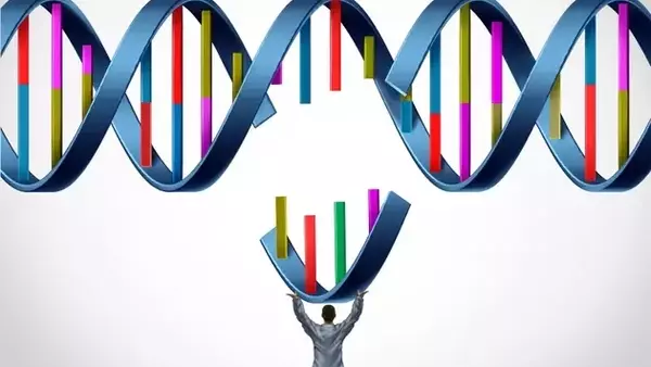 Sarepta Therapeutics Navigates Regulatory Hurdles and Future Growth Prospects