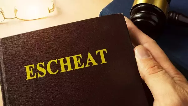 Understanding Escheatment: Government Claims on Unclaimed Assets