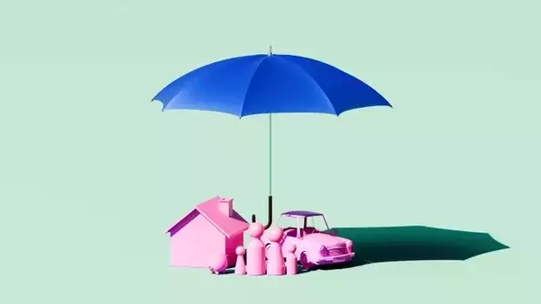 Hippo Holdings: A Transformative Journey Towards Sustainable Profitability