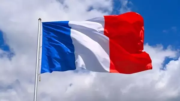 French Economic Outlook Remains Subdued Amid Weak Domestic Demand