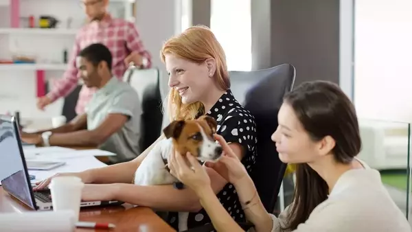 La Giornata del Cane in Ufficio: Meno Stress e Più Benessere con il Tuo Compagno Fedele
