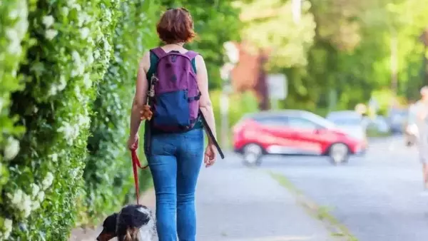 Il Valore Inestimabile della Compagnia Animale nella Vita Moderna