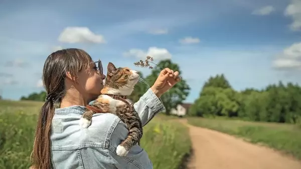 Passeggiate feline: un'opportunità per l'esplorazione felice