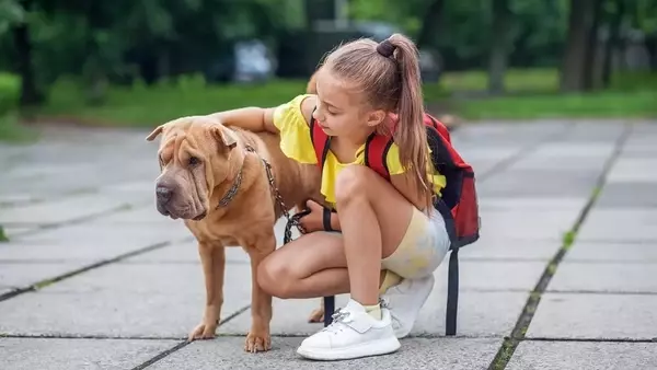L'Educazione all'Accudimento Animale: Un Nuovo Approccio Pedagocico nelle Scuole Francesi