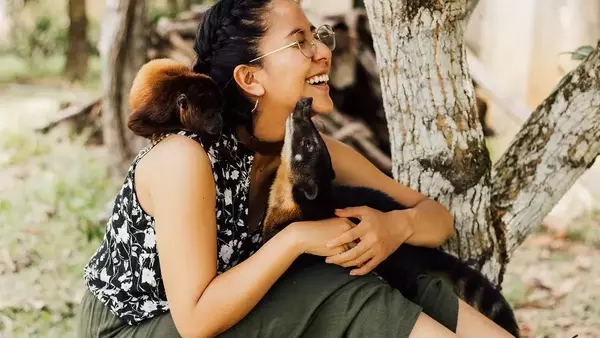 Nuove scoperte faunistiche celebrano la Giornata Mondiale degli Animali con un felino boliviano e un pinguino antartico
