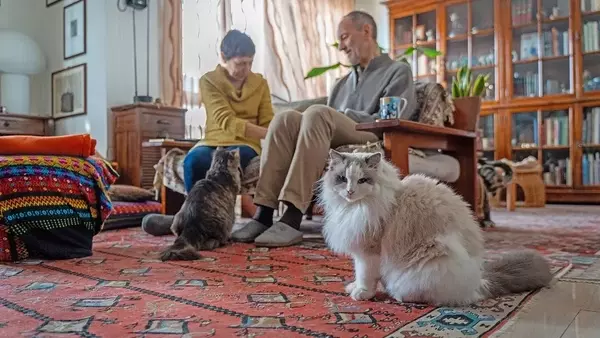 Un Legame Profondo: Laura e Daniele, i Loro Gatti e l'Impegno per il Futuro Animale