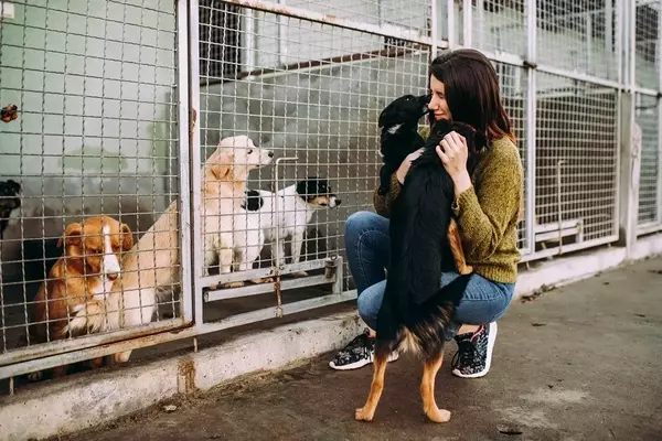 Un'Iniziativa Semplice e Rivoluzionaria: Come Una Pizza Aiuta i Cani a Trovare Casa