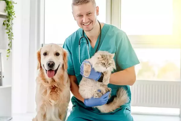 Servizio Veterinario Pubblico: Verso Cure Gratuite per gli Animali Domestici?