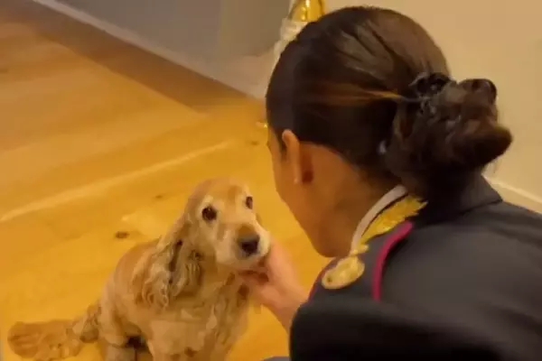 La Polizia di Stato e Joy contro l'abbandono degli animali: un legame indissolubile