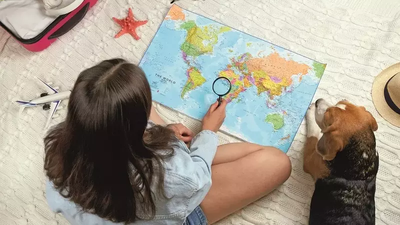 Consigli Fondamentali per Viaggi Senza Stress con i Tuoi Amici a Quattro Zampe