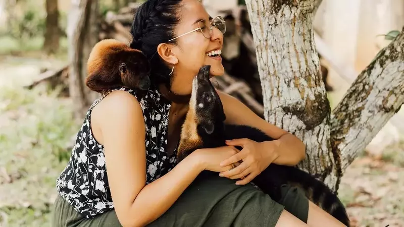 Nuove scoperte faunistiche celebrano la Giornata Mondiale degli Animali con un felino boliviano e un pinguino antartico