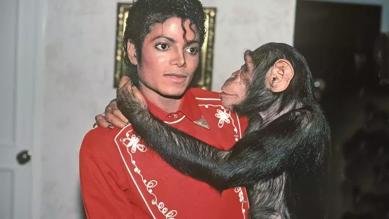 Bubbles, lo Scimpanzé di Michael Jackson: Una Nuova Esistenza Lontana dai Riflettori