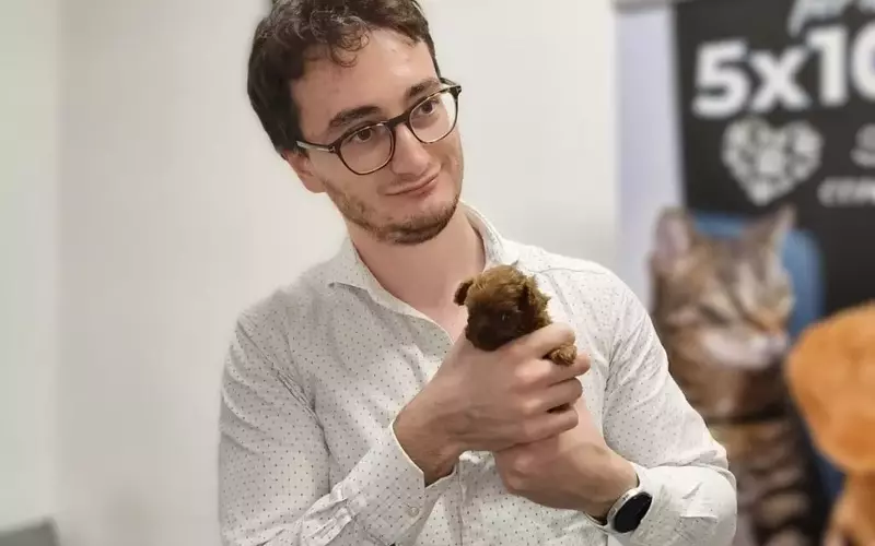 Il Tecnico Veterinario: Un Ruolo Chiave e in Crescita per l'Assistenza Animale